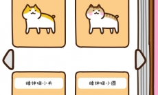 《猫咪田园》猫咪种类图鉴