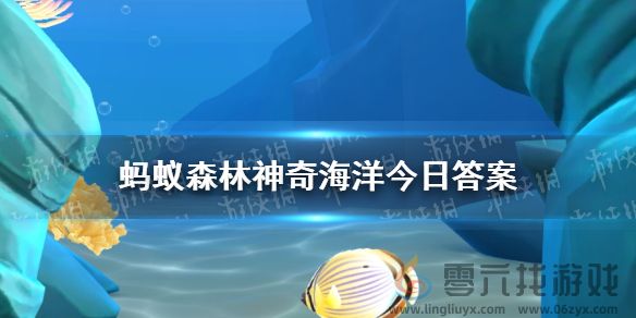 绿鹦鲷之所以得名，是因为什么特点与鹦鹉相似(图1)